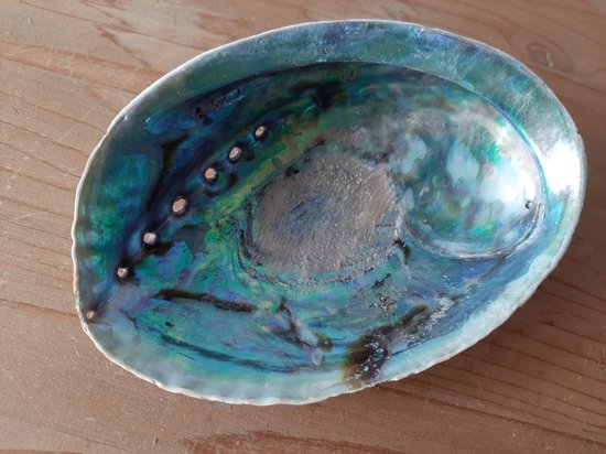 Abalone smudge schelp - parelmoer - 13-15 cm van Zenara.nl — afbeelding 2