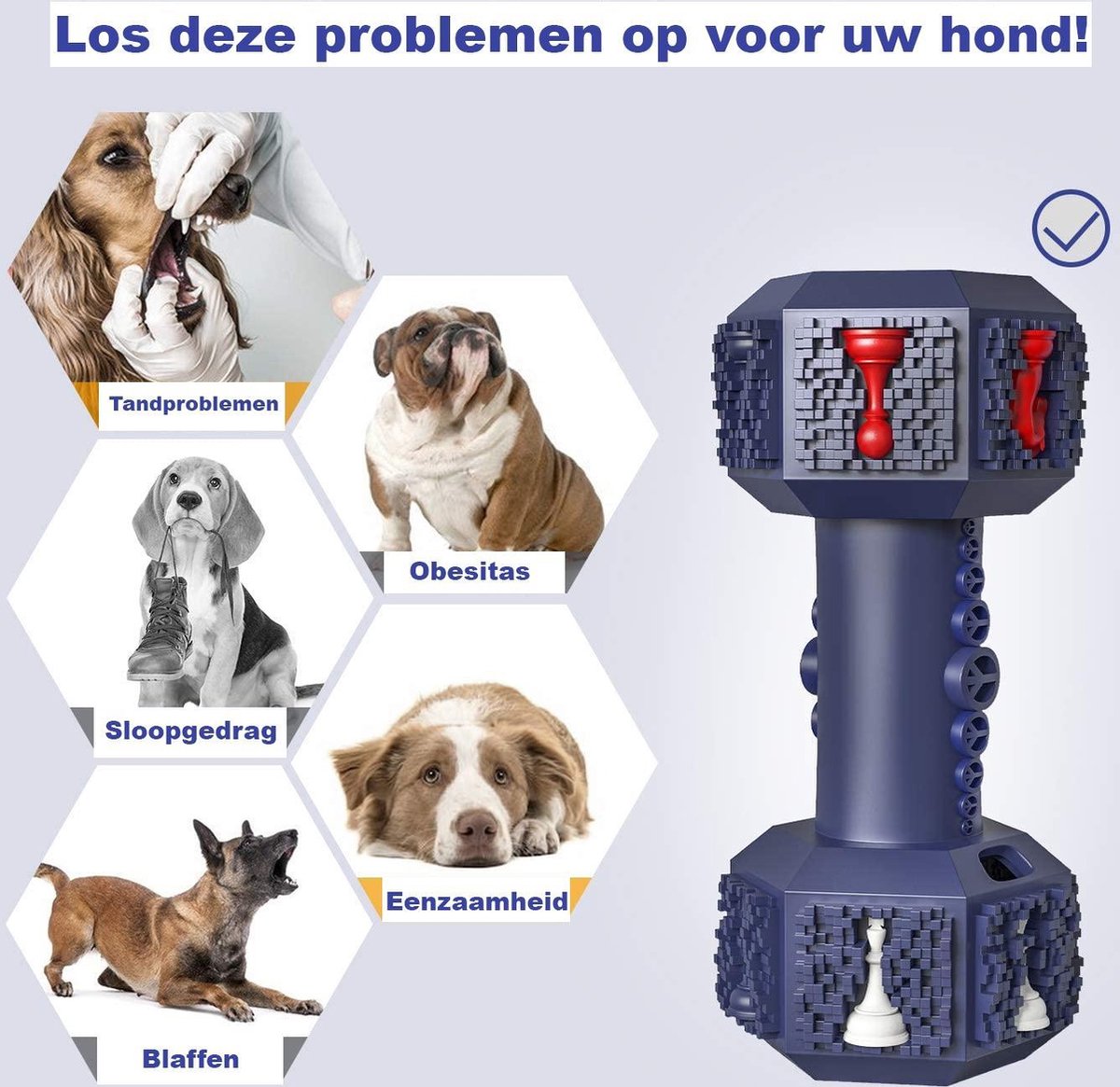 PetPetrol Honden speelgoed -Dumbbell -Geschikt voor kleine en middelgrote honden- Tanden schoonmaken- Kauwen- Haltervorm- Blauw- Natuurrubber met Ananas smaak — afbeelding 2