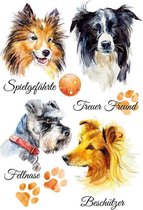 Strijk Applicatie Van Vier Verschillende Honden Rassen 3 13 x 10 cm