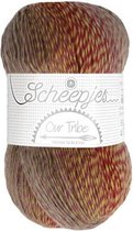 Scheepjes Our Tribe 961 Shades of 4Ply