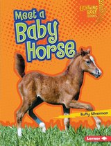 Lightning Bolt Books ® — Baby Farm Animals - Meet a Baby Horse