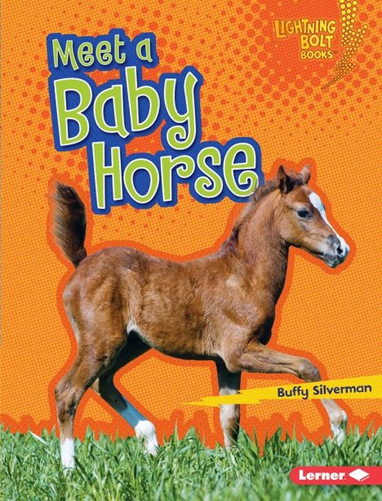 Lightning Bolt Books ® — Baby Farm Animals Meet a Baby Horse (ebook