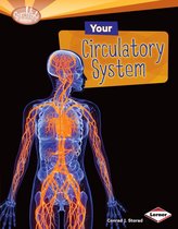 Searchlight Books ™ — How Does Your Body Work? - Your Circulatory System