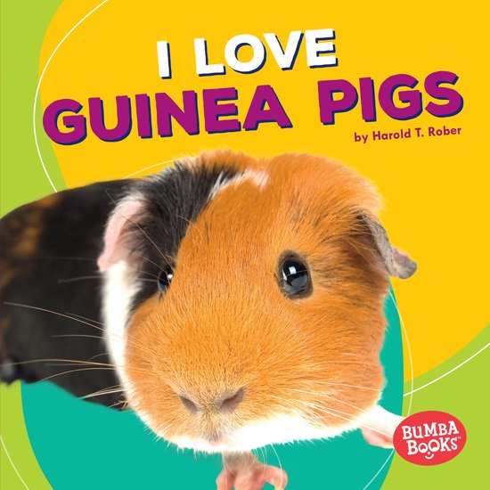 I Love Guinea Pigs - cover