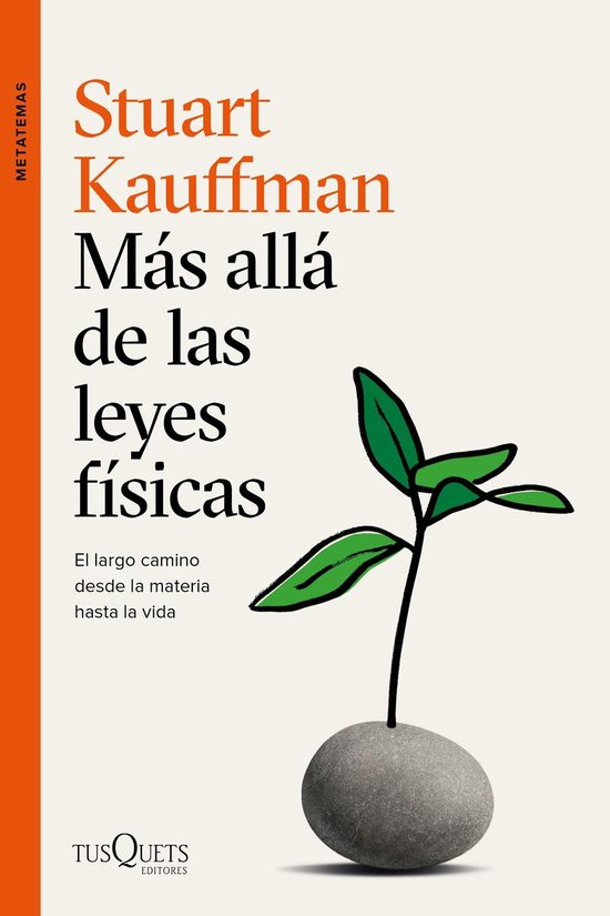 Metatemas - Más allá de las leyes físicas