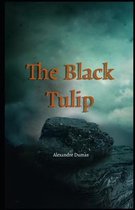 The Black Tulip Illustrated