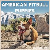 American Pitbull Puppies Calendar 2021