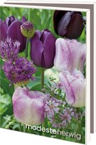 Dossier de cartes de vœux - Bekking & Blitz - avec enveloppes - art photo - photographie de jardin - Fleurs - Modeste Herwig