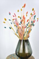Droogbloemen Phalaris Mix | Kanariegras | 60 cm | Natuurlijk Bloemen