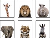 Set de 6 affiches Jungle / Safari Lion éléphant tigre girafe Zebra rhinocéros - 30x21cm / A4 - chambre Bébé / enfant - affiche Animaux - Décoration murale