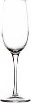 Spazio champagneglas - champagneglazen - 19cl - 3 stuks