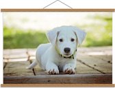 Schoolplaat – Schattig Wit Hondje - 90x60cm Foto op Textielposter (Wanddecoratie op Schoolplaat)