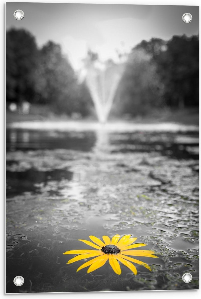 Tuinposter – Gele Bloem in het Water bij Fontein - 40x60cm Foto op Tuinposter (wanddecorat