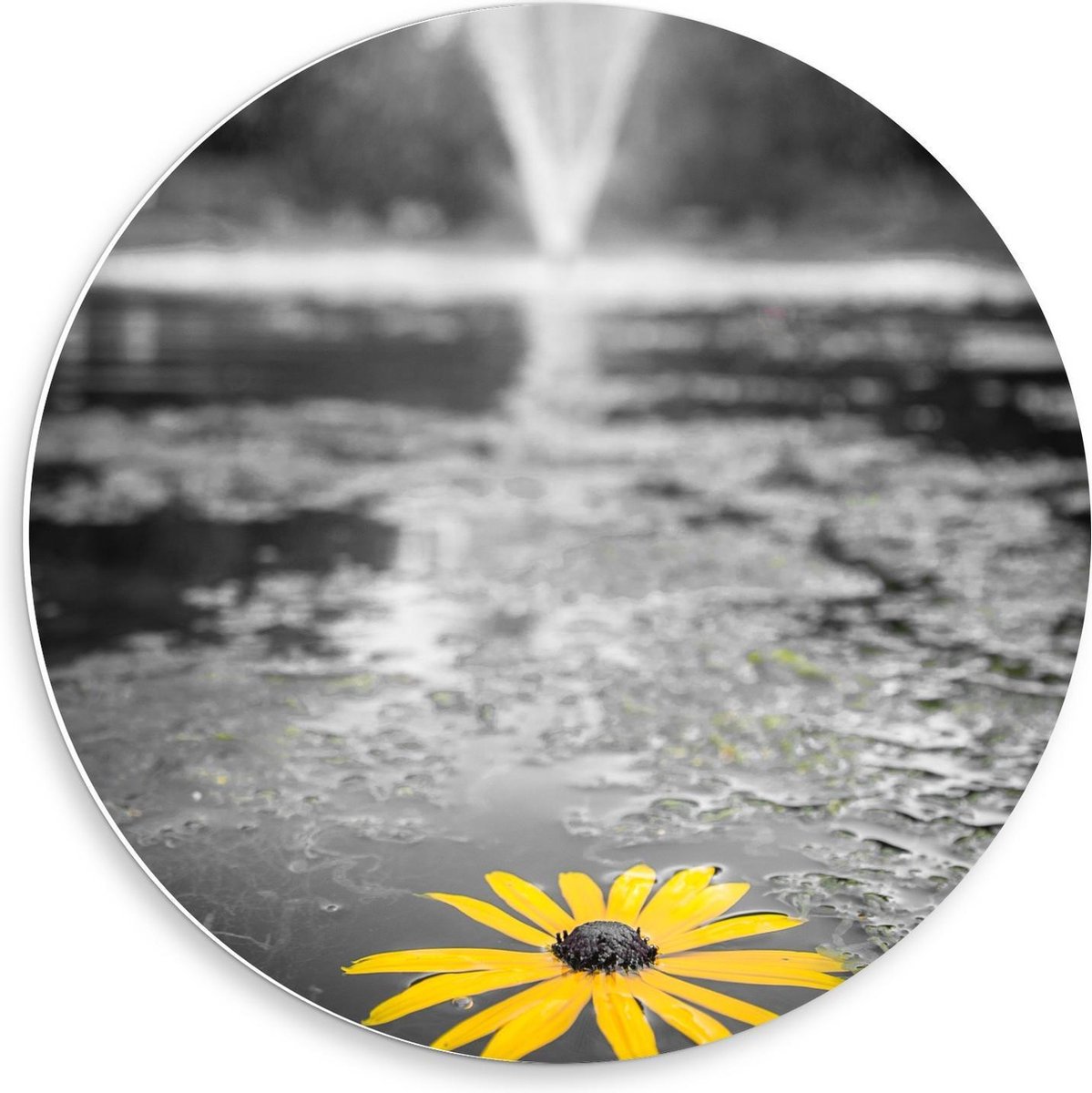 Forex Wandcirkel - Gele Bloem in het Water bij Fontein - 50x50cm Foto op Wandcirkel (met o