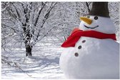 Sneeuwpop Aankleedset - Aankleed Kostuum - Winter Decoratie Buiten - Sneeuwman - Sneeuwpopset