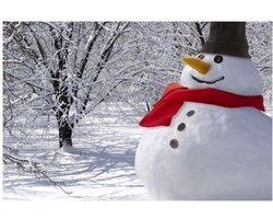 Sneeuwpop Aankleedset - Aankleed Kostuum - Winter Decoratie Buiten - Sneeuwman - Sneeuwpopset