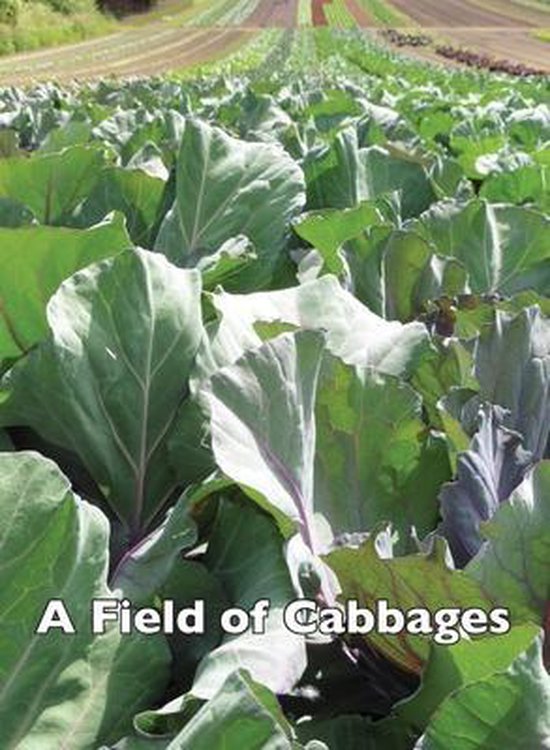 A Field of Cabbages - cover