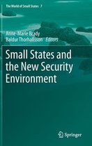 Small States and the New Security Environment