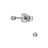 Aramat jewels ® - Zilverkleurige bolletjes oorstekers zilverkleurig staal 2mm
