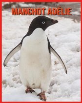 Manchot Adelie