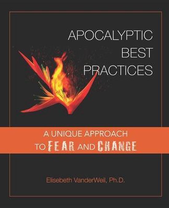 Apocalyptic Best Practices - cover
