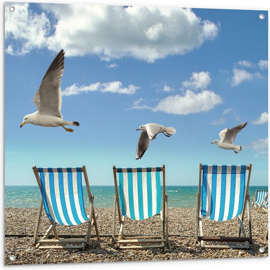 Tuinposter – Meeuwen boven Strandstoelen - 100x100cm Foto op Tuinposter  (wanddecoratie voor buiten en binnen)