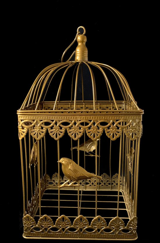 Decoratieve gouden kooi - Gouden vogelkooi ter decoratie - ShineDesign |  bol.com