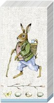 IHR - EDWARD RABBIT - papieren zakdoeken - Konijn - Pasen - 1 pakje