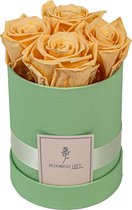 Flowerbox longlife rozen | GREEN | Small | Bloemenbox | Longlasting roses PEACH| Rozen | Roses | Flowers