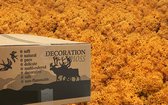 MosBiz Rendiermos oranje 3 kilo voor decoraties, schilderijen en mos wanden
