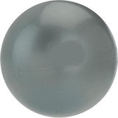 Xq Max Sandball Zilver 1 Kg Doorsnede 11 Cm