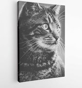 Greyscale photography of tabby cat - Modern Art Canvas - Vertical - 172421 - 80*60 Vertical