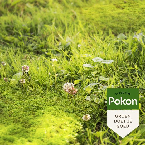 Pokon Mos en Onkruid Weg! - 1,375kg - Onkruidverdelger - Geschikt voor 25m² - Zowel mos- en onkruidbestrijder - Anti mos gazon van Merkloos	 — afbeelding 3
