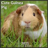 Cute Guinea Pig Calendar 2021