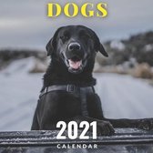 Dogs Calendar 2021