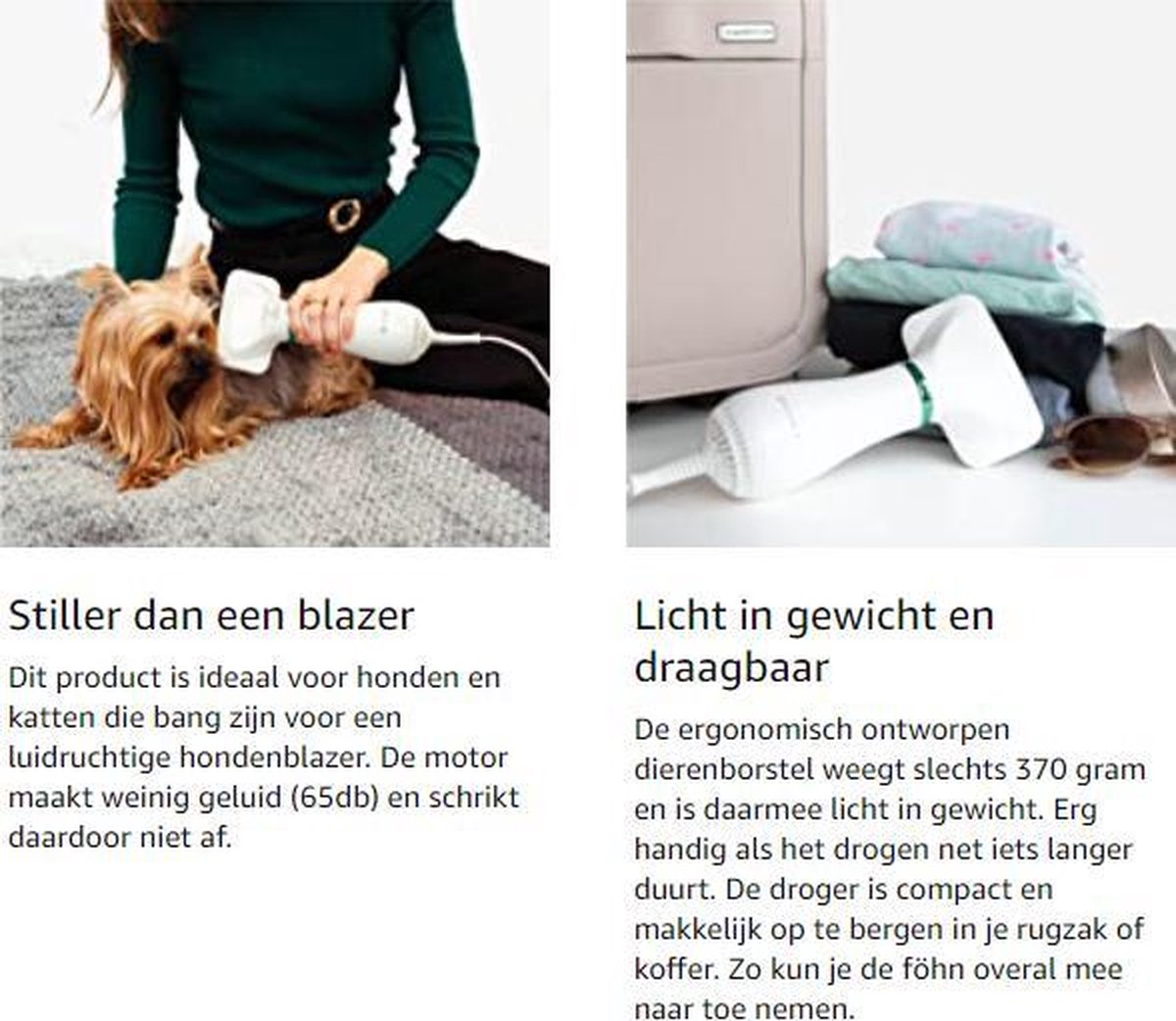Föhn en Borstel in één - Compact en Licht in Gewicht