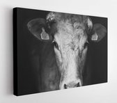 Onlinecanvas - Schilderij - Sad Farm Cow Close Up Portrait Over Background Art Horizontal Horizontal - Multicolor - 30 X 40 Cm