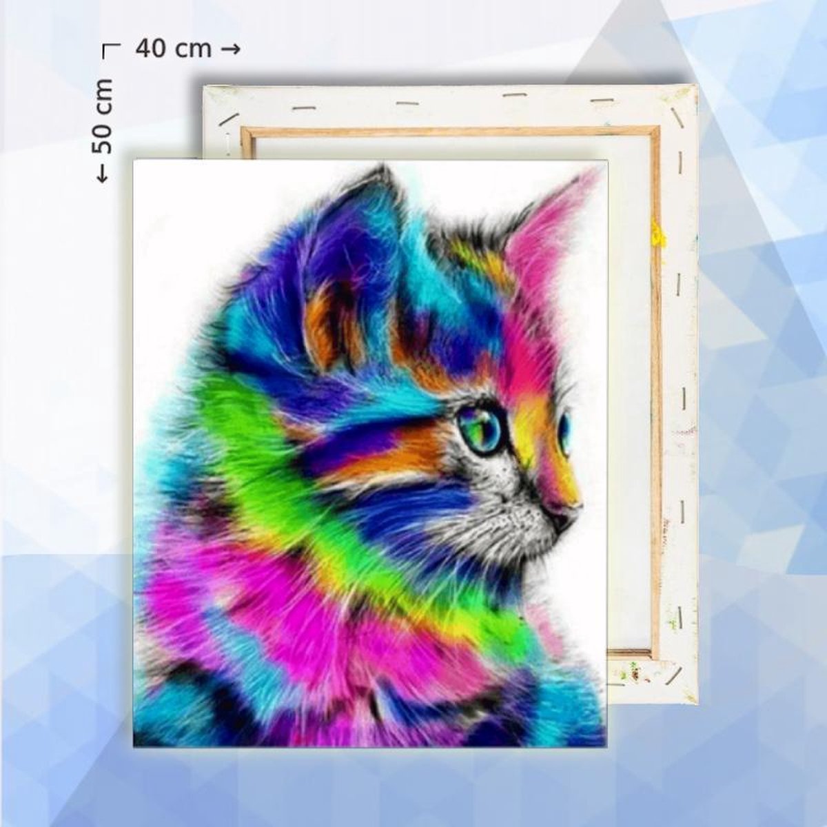 Schilderen op nummer pakket regenboog kitten kat - 40 x 50 cm - met frame