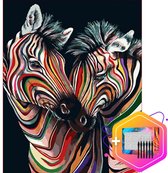 Pcasso ® Twee Zebra Multicolor Zwart – Schilderen Op Nummer – Incl. 6 Ergonomische Penselen En Geschenkverpakking - Schilderen Op Nummer Dieren - Schilderen Op Nummer Volwassenen –