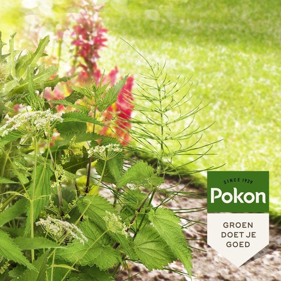 Pokon tegen Hardnekkig Onkruid Concentraat - 100ml - Goed voor 160m2 - 12,5ml per 1l water van Merkloos	 — afbeelding 4