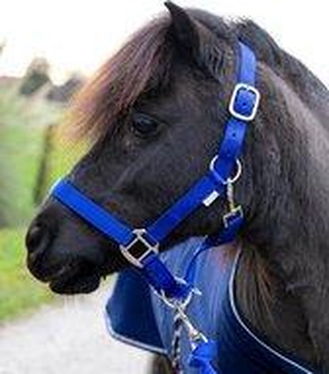 G-Horse - Halsterset met touw - Pony - Blauw
