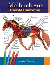 Malbuch zur Pferdeanatomie: Unglaublich detailliertes Arbeitsbuch zum Selbsttest der Pferdeanatomie - Perfektes Geschenk für Tiermedizinstudenten,