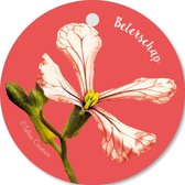 Tallies Cards - kadokaartjes  - bloemenkaartjes - Beterschap - Flowerpower - set van 5 kaarten - beterschap - ziekte - 100% Duurzaam