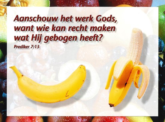 Christelijke poster 20x30 cm - Prediker 7:13