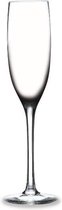 RONA - Champagne flute 15cl "Edition" Kristal (6 stuks)