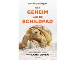 Omslag van Het geheim van de schildpad