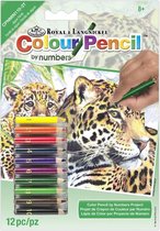 CPNMIN-110 - Kleuren Op nummer - - JAGUARS 12,7x13,8cm