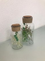 Decoratief glas met kurk - kunstplanten aan de binnenkant - 2 stuks - middel en kleine versie