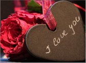 I Love You - Lastige Valentijn Puzzel - 500 Stukjes