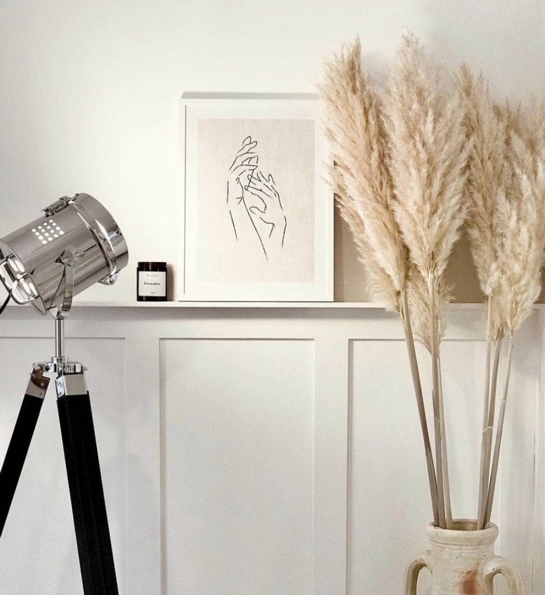 Luxe Extra Fluffy Pampas pluimen - Cortederia - Beige - 120 CM - Professioneel gekweekt - 6 stuks -